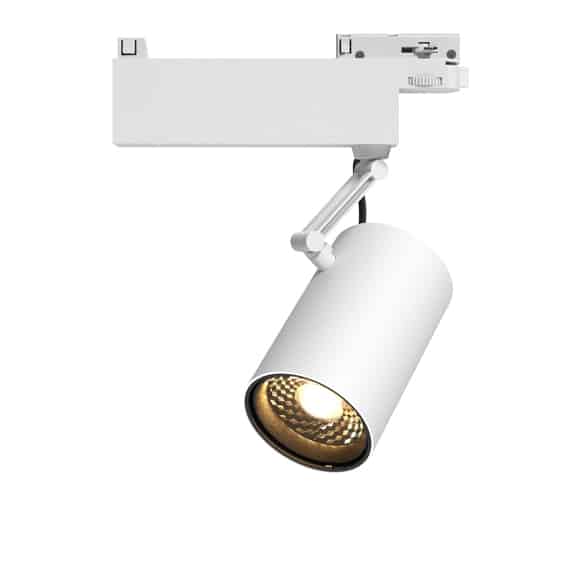 Stacy Washingtond 100 w Silver